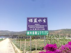 諾藍水生植物基地展示
